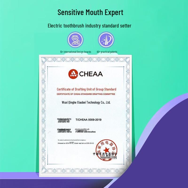 DR.BEI Sonic Electric Toothbrush