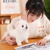 New Premium Cute Plush Pomeranian Dog Real Life Toystuffed Animals Soft Puppy Pet Doll Children Kids Girls Lovely Gift