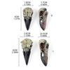 Gothics Crow Skull Necklace Dark Series Necklace Pendant for Halloween Party Hanging Decoration Novelty Gift Accessories