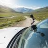 Adjustable Suction Cup Mount for Go Ultra Action Cameras With 360 Degree Rotation And Metal Construction