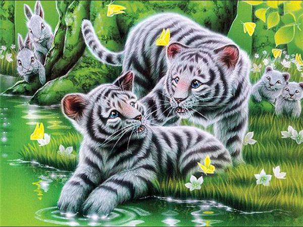 5d Diamond Painting Pes DIY Mozaika Zvíře Plný Kulatý Čtverec Diamantové vyšívání Křížkový steh Kamínky Obrázky Nástěnné umění