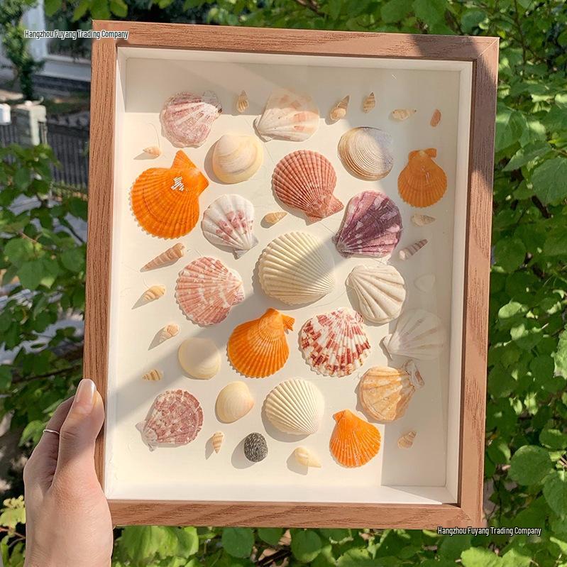 Handmade Seaside Shell Conch Photo Frame - Minimalist Square Design
