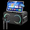 SAST Portable KTV Trolley Speaker System CN Plug (adapter Included)