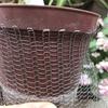 Rat Prevention Plant Root Protection Cover Dense Mesh Bird Barrier Net  Flower Bulbs Protection