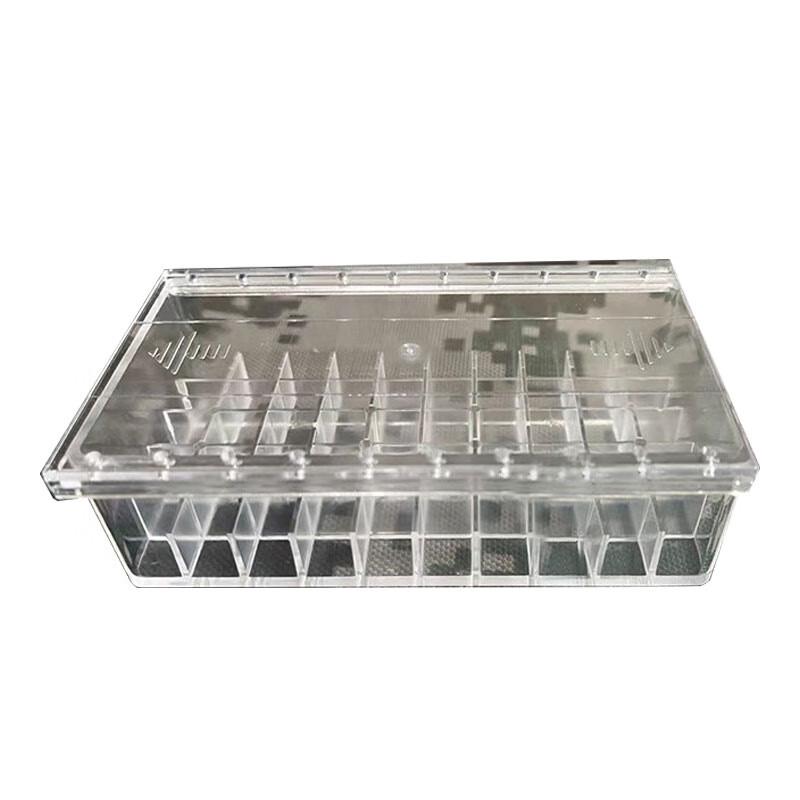 Xintaihang Transparent Ammunition Box