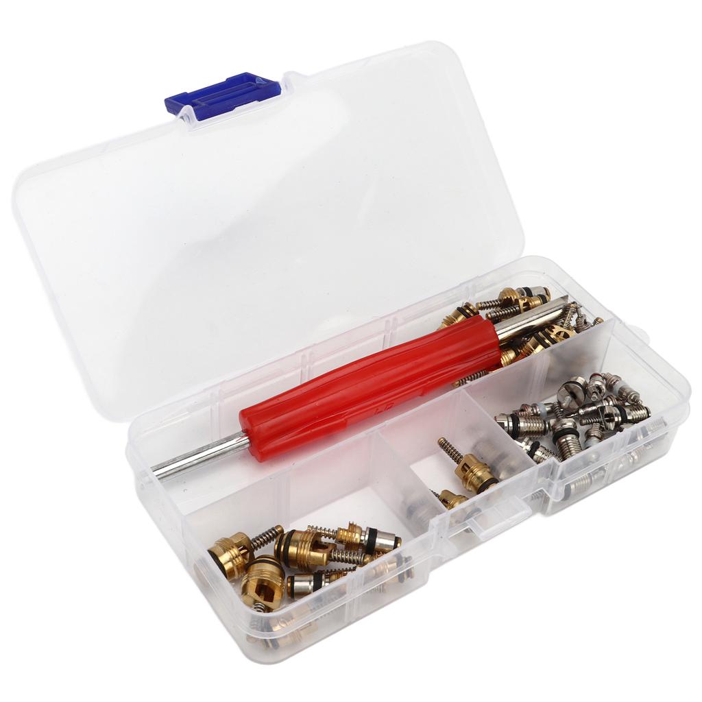 41 Stück AC Hauptventilkern-Set mit Ausbauwerkzeug R12 R134a Kfz-Kälteanlagen-Ventilkerne für