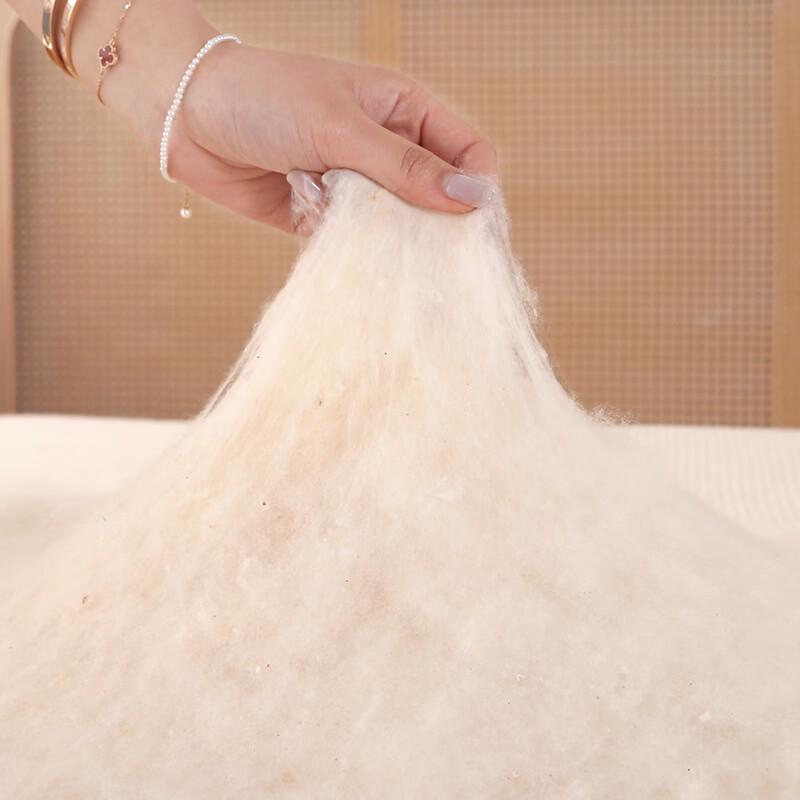 Meifei Xinjiang Long-Staple Cotton Quilt