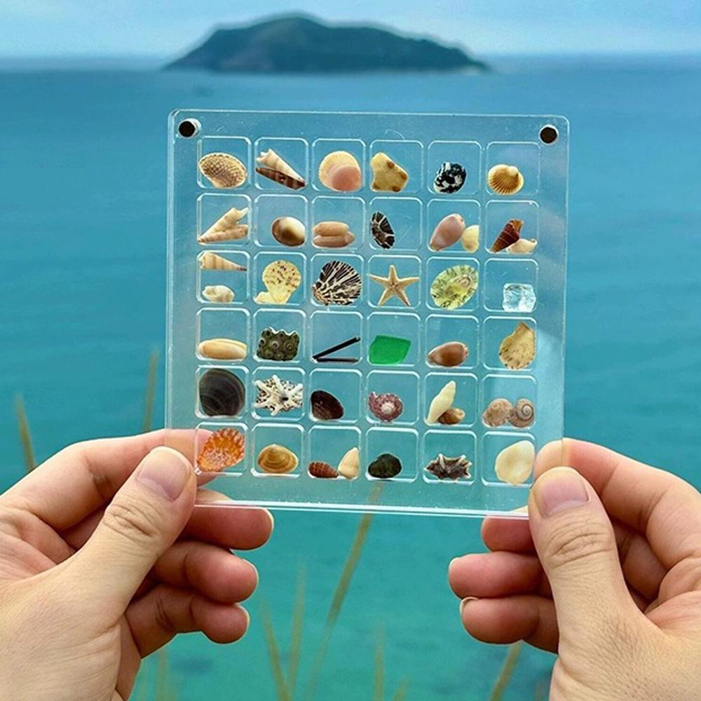 Magnetic Seashell Storage Box Transparent Acrylic Display Case for Starfish Conch Trinket Small Craft Organizers