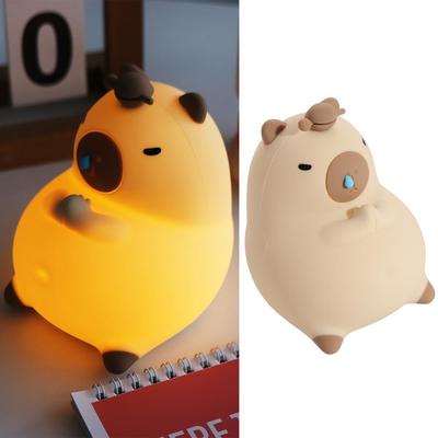 Osvětlení – Noční světýlka