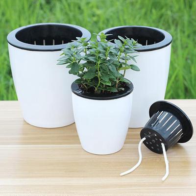 Automatischer wasserabsorbierender Sukkulenten-Blumentopf Hydroponisches Becken Fleischiger Blumentopf