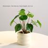Realistic Simulation Green Plant Bonsai Elegant False Tropical Plants  Home Garden