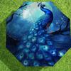 1pc Peacock Night Pattern Umbrella Design Automatic Opening and Closing Umbrella, High-quality Travel Umbrella,  c1128050