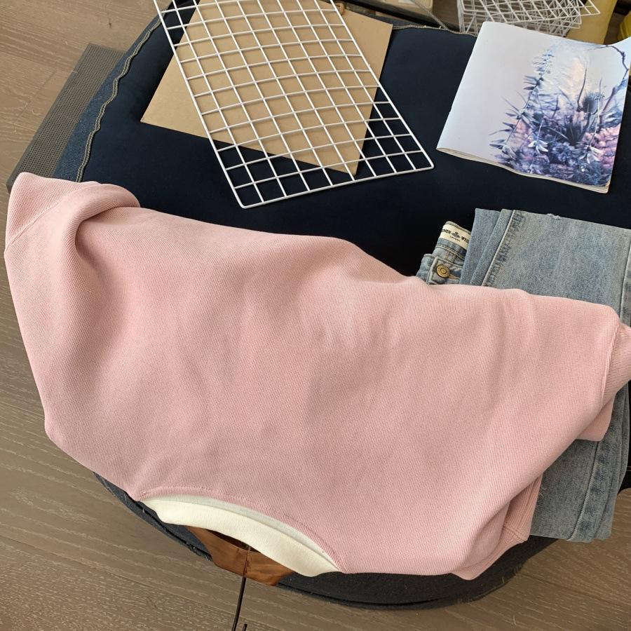 Frühling und Herbst Neu Koreanisch Bestickt POLO-Kragen Locker Student Vielseitiger Pullover Damen Dünne Jacke Top