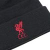 Liverpool FC Childrens/Kids Embroidered Logo Ribbed Beanie