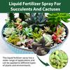 Fertilizzanti Spray Professionali per Cactus Nebulizzazione per Giardinaggio Miscela Delicata Nebulizzazione per la Salute Nutrienti per la Crescita delle Foglie