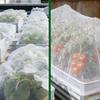 Insect Barrier Netting for 2 Ft Diameter Round Raised Beds Garden Netting with Drawstring Fine Mesh Plant Cover for Vegetables Flowers Fruits