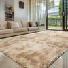 Pink Plush Bedroom Carpet Soft Fluffy Area Rug for Living Room Dorm and Bedside Home Decor Floor Mat