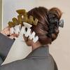 Haar-Accessoires – Haarklammern