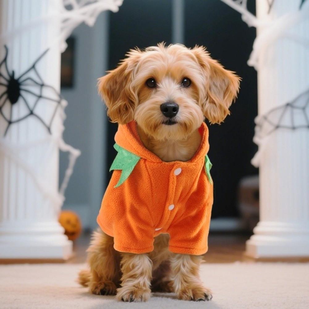 Breathable Pumpkin Dog Costume Orange Dog Hoodie Cute Pet Cosplay Costume  Pet Role-Playing