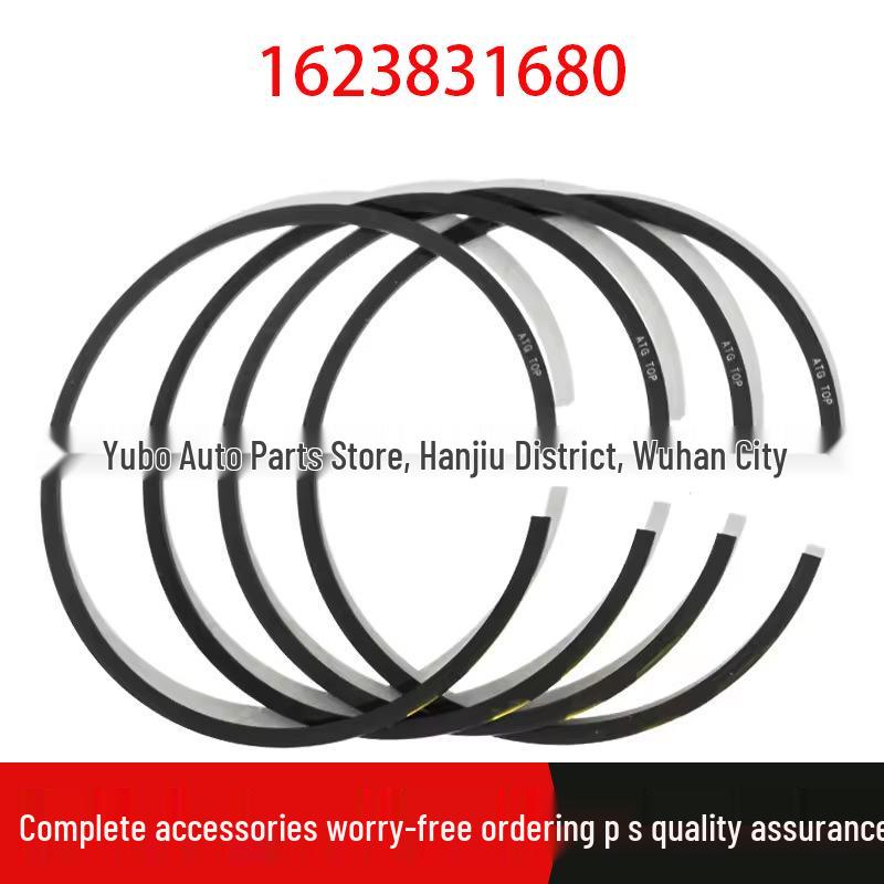 

Peugeot Citroen 1.6T Engine Piston Rings for 3008, 508, 408 (Part 1623831680) Standard