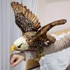 Realistic Eagle Plush Toy 30cm Tall Office Desk Ornament Gift