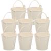 Toyvian Tin Tin Mini Metal Mini Metal Tin Container with Flower Home Set of X X Bucket, Bucket, Bucket, Bucket, Can, Handle, Stylish, Flower, Pot,