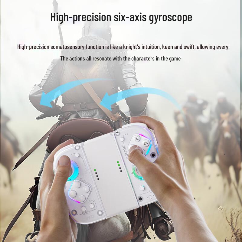 Aolion J20 Pro Knight Switch Joy-Con Split Controller