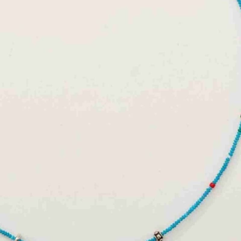 FINDELISE Turquoise Red Point Necklace