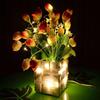 10 LED Battery Power LED String Light Fairy Power Copper Colorful