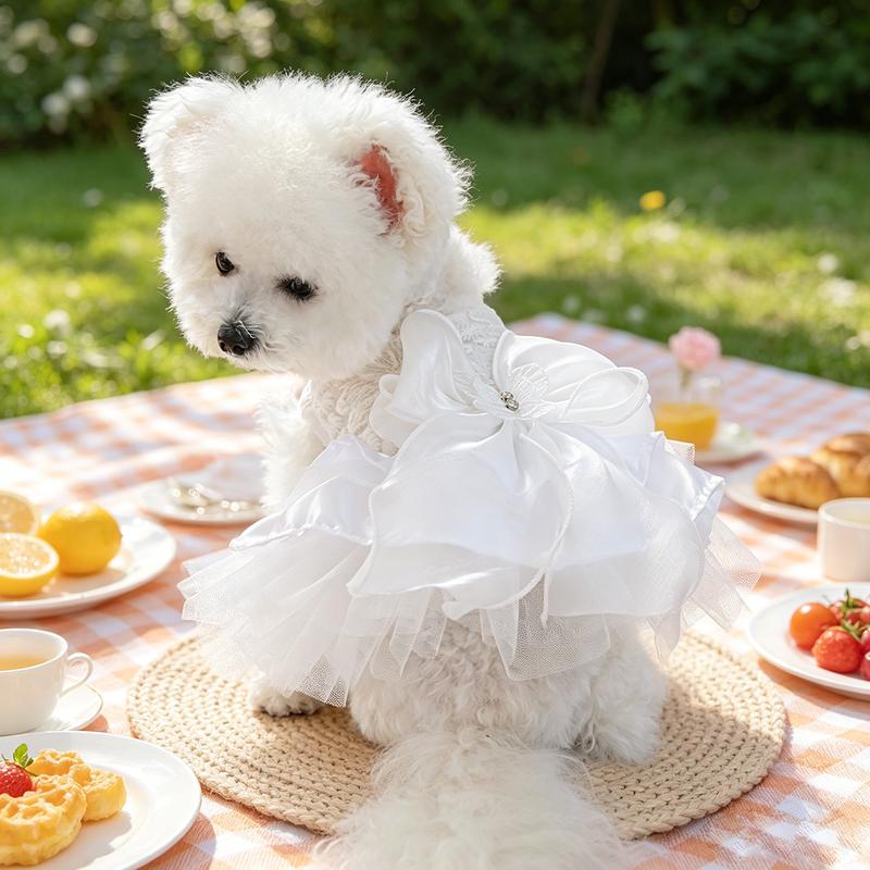 Elegant Lace Bow Pet Dress, Gorgeous Princess Wedding Outfit for Small Dogs Cats, Fit for Teddy Bichon Pomeranian