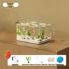 Acvariu Transparent Acrilic pentru Pești și Broaște Țestoase - Acvariu Mic de Birou Ecologic pentru Creștere în Sufragerie