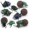 Realistic Pvc Insect Models Set With 8 Unique Beetle And Dung Beetle Figures For Collectors