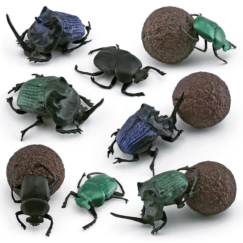 Realistic Pvc Insect Models Set With 8 Unique Beetle And Dung Beetle Figures For Collectors