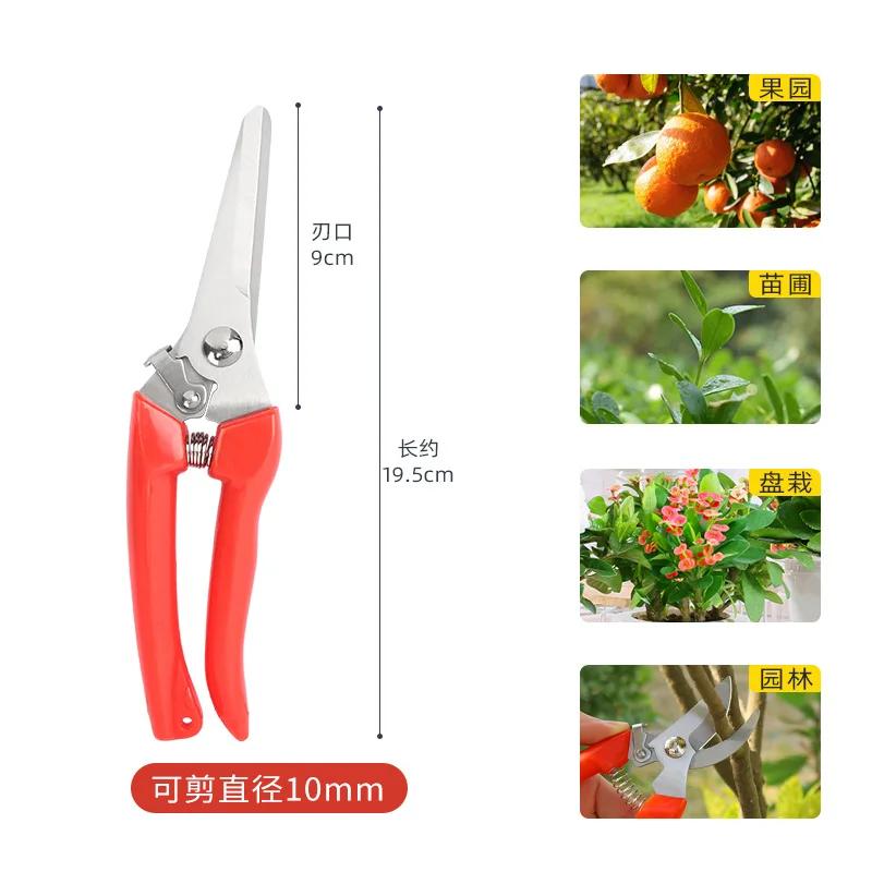 

Экономящие труд секаторы для пересадки и обрезки, садовые секаторы из нержавеющей стали для фруктовых деревьев, многофункциональные секаторы для обрезки цветов