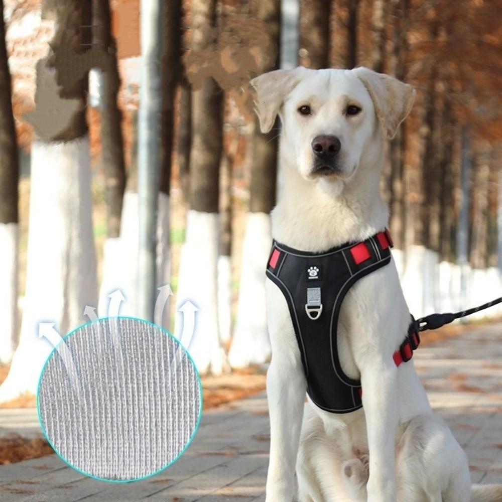 Multi-Point Adjustment Anti-Pull Dog Harness Reflective Dog Leash Dog Chest Strap  Daily Walks