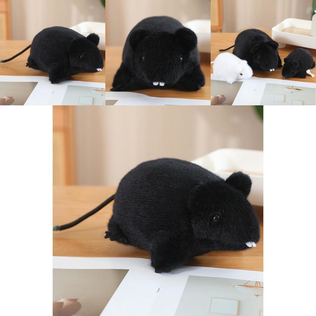 Adorable Plush Mouse Stuffed Animal Toy Soft Pp Cotton Cuddly Pillow For Kids