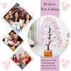 Rose Quartz Crystal Tree - Good Luck Showpiece for Home Decor Items - Crystals Gemstones - Money Tree for Good Luck - Decoration Gift Item