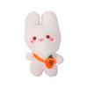 Adorable Plush Bunny And Kitty Stuffed Toys Soft Short Plush Kids Gifts