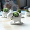 European-Style Ceramic Succulent Flower Pot, Creative Office Desktop Christmas Elk Green Plants Animal Potted Plants