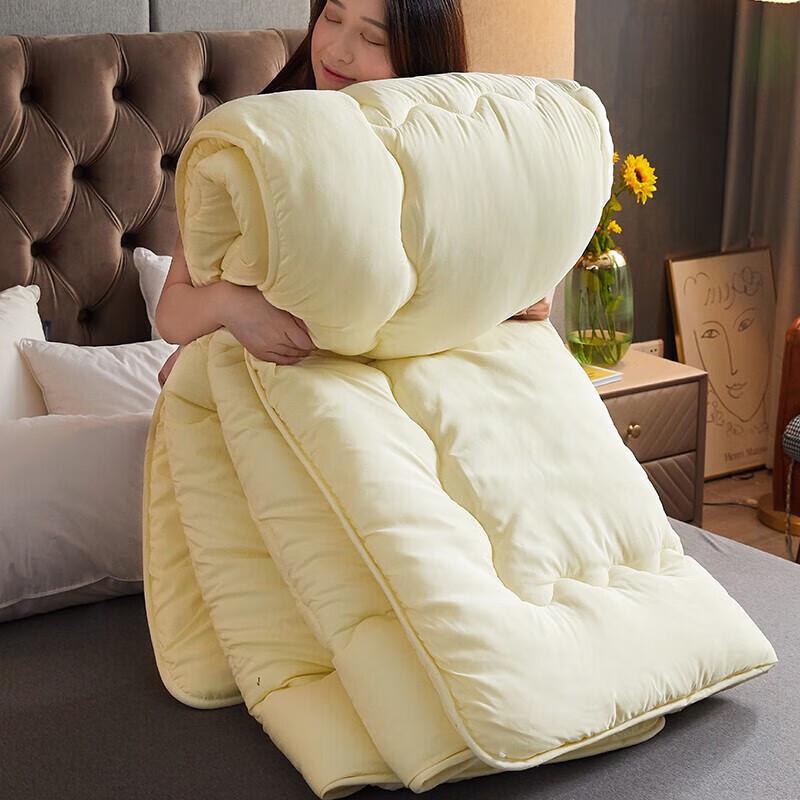 Nanjiren Plain Brushed Warm Winter Quilt