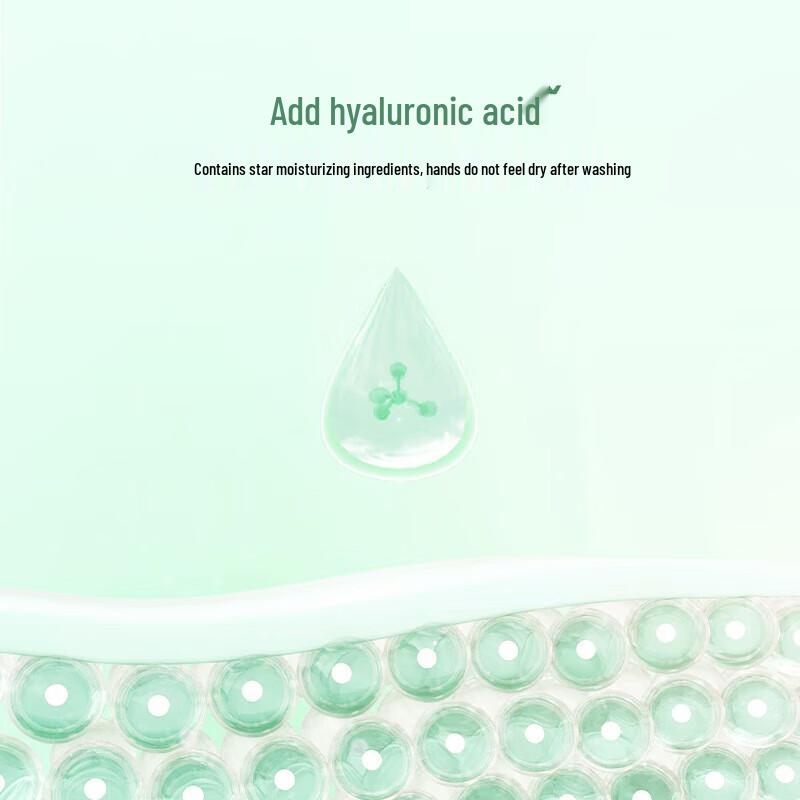 Chao Neng Natural Tea Tree Antibacterial Hand Wash