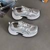 Mesh Breathable Dad Shoes Women's 2025 Autumn New Thick-soled Heightening Sports and Leisure Shoes Versatile Running Shoes Fashion
