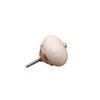 Modern American Ceramic Pumpkin Cabinet Handle