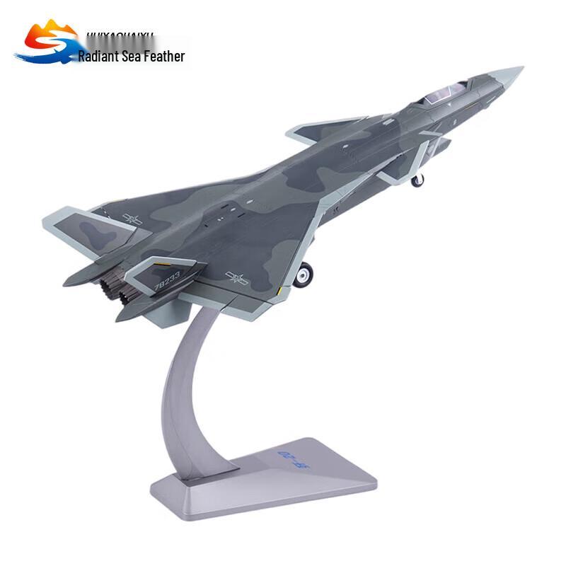 J-20 Fighter Jet Scale Model