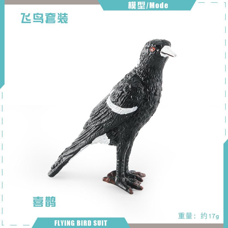 Atemberaubendes, realistisches Vogelfiguren-Set mit farbenfrohen Tauben-, Elster- und Kuckucksmodellen