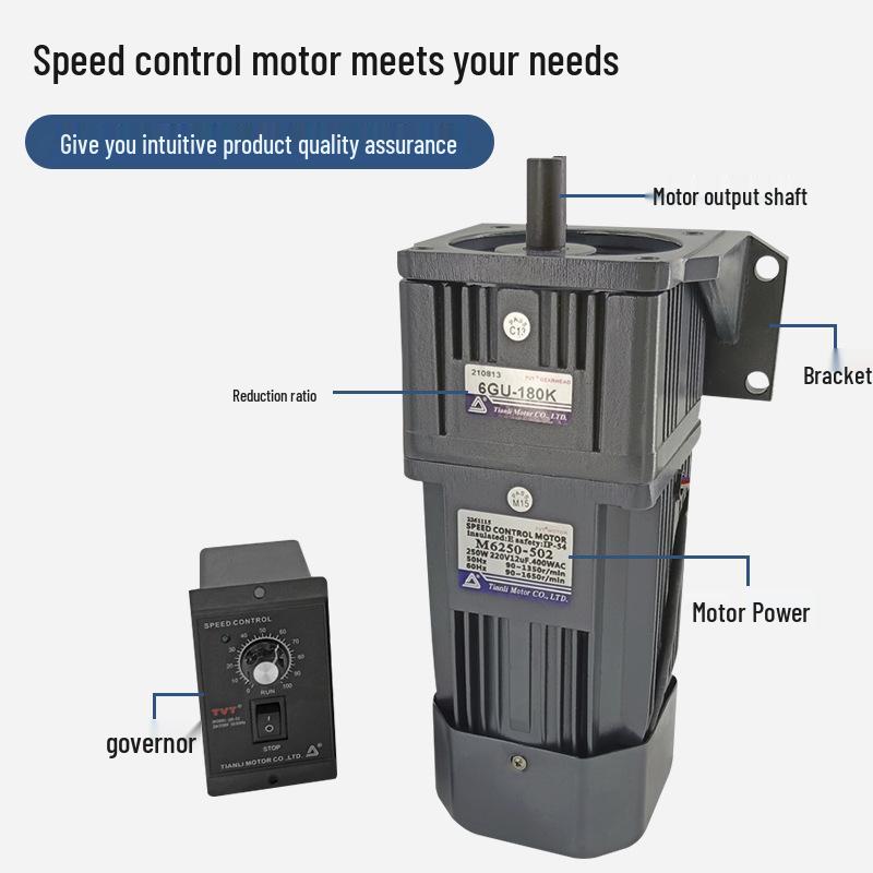 Tianli Small Gear Reducer Motor 6IK300W 220V AC Speed Control Motor 120W/250W