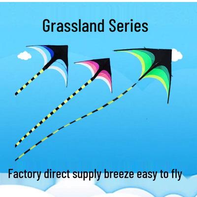 Präriekites: Leichter Lenkdrachen mit langem Schwanz für Kinder und Erwachsene, einfach zu fliegen