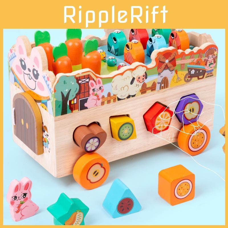 Themed Farm Animal Wooden Brain Teaser Puzzle For Preschool Educational Games