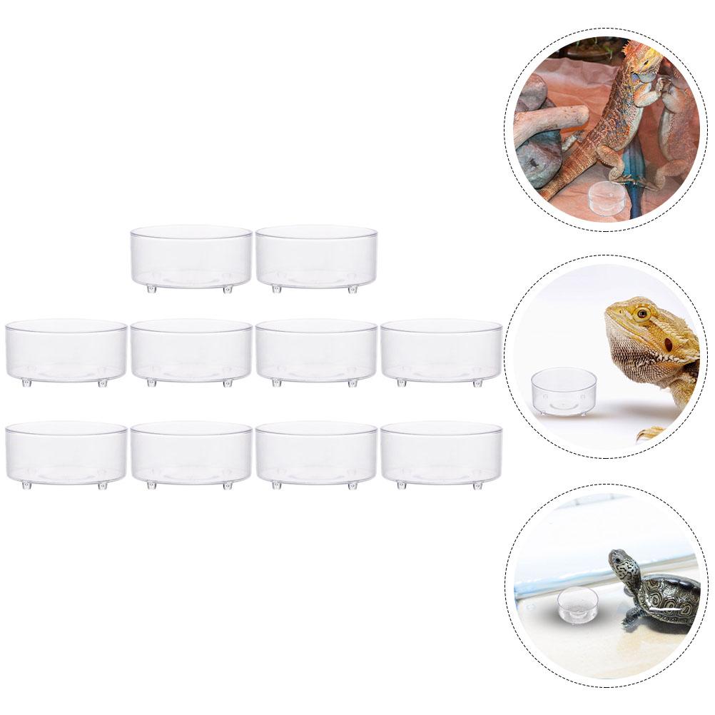 

10 шт. Миска для води для рептилій, павуків, Контейнер для годування рептилій, Поїлка, Чашка