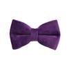 Purple Velvet Dog Collar & Leash Set